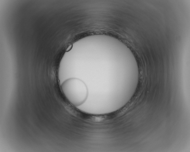 X0000110920662200906181217