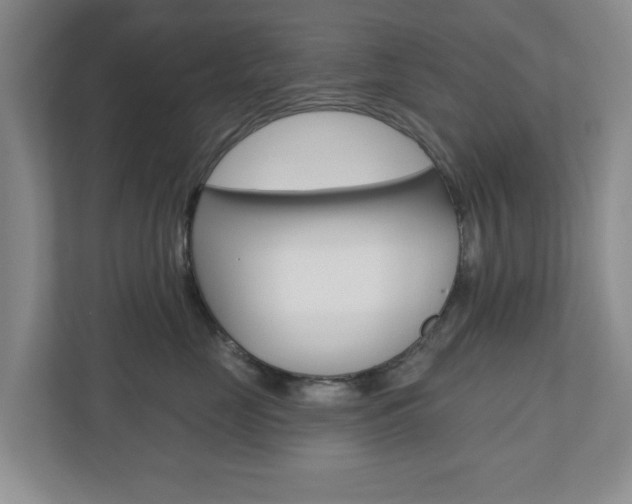 X0000110920669200906181217