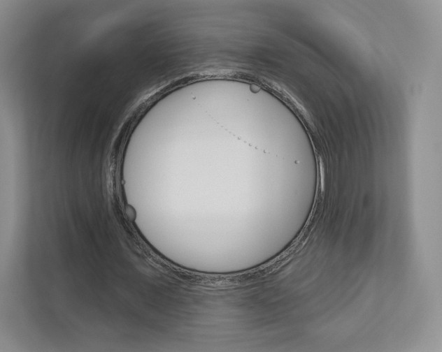 X0000110920675200906181216