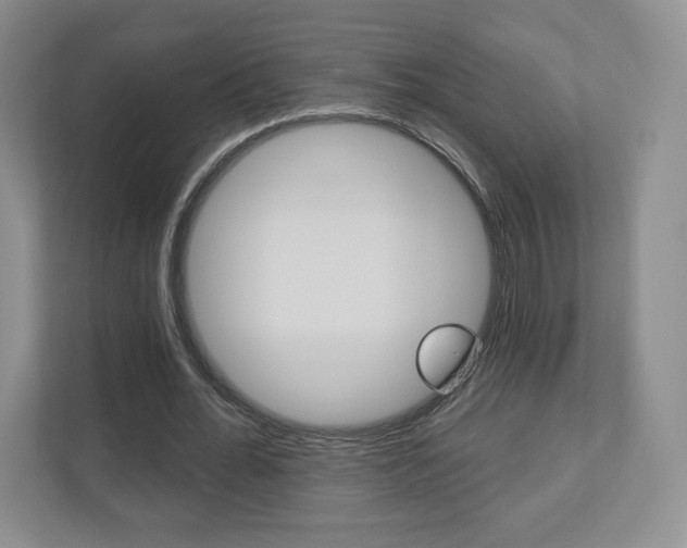 X0000110920676200906181216