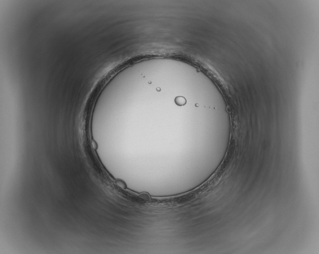 X0000110920679200906181216