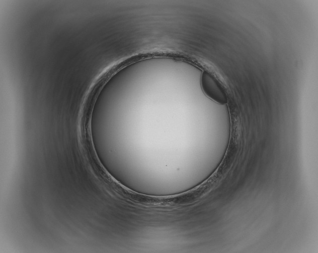 X0000110920680200906181216