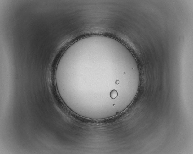 X0000110920683200906181216