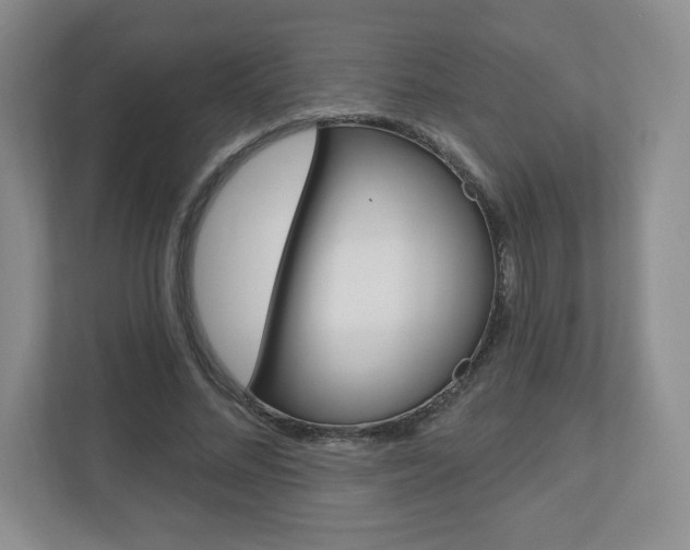 X0000110920684200906181216