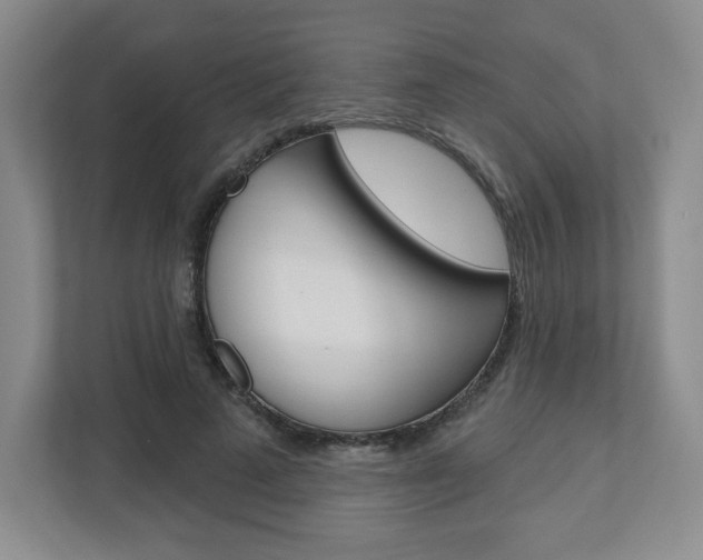 X0000110920689200906181216