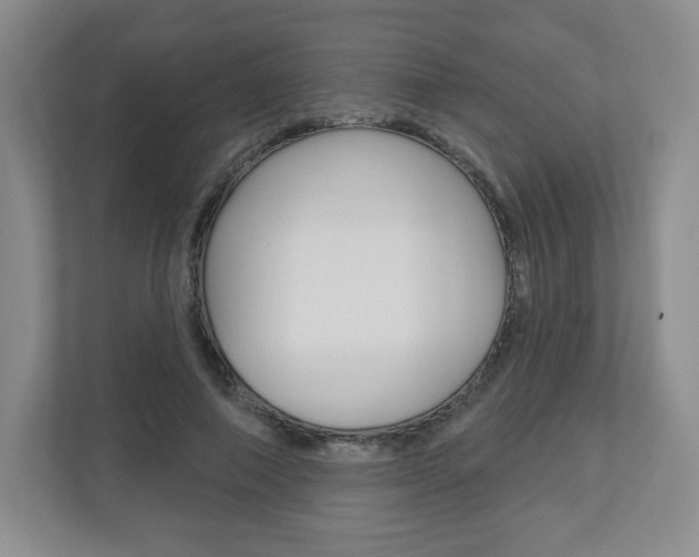 X0000110920690200906181216