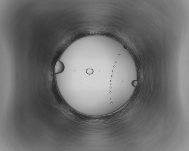X0000110920691200906181216
