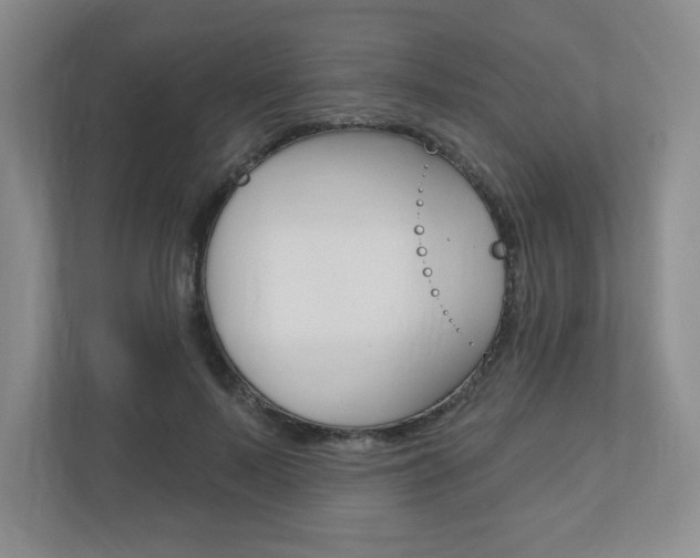 X0000110920695200906181216