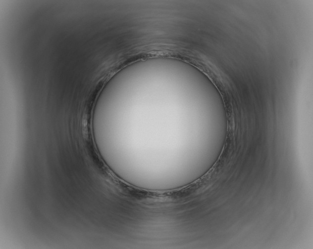 X0000110920696200906181216