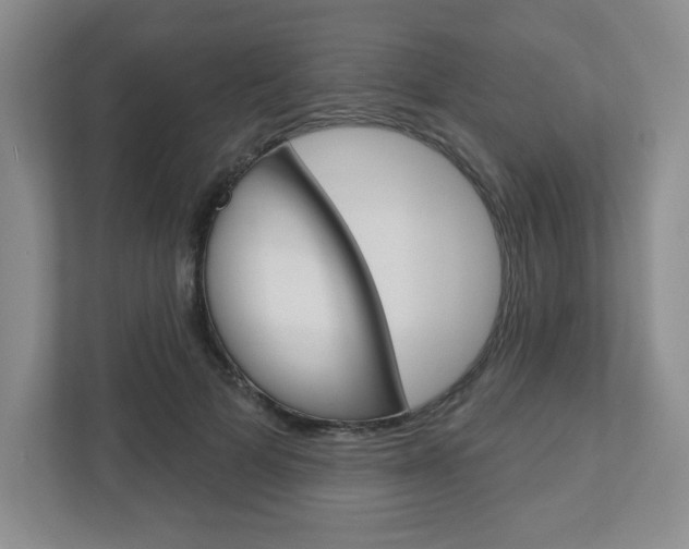 X0000110920697200906181216