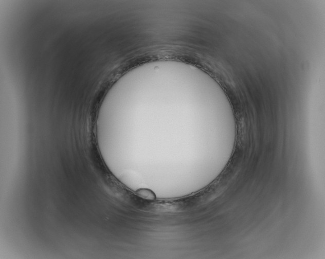 X0000110920698200906181216