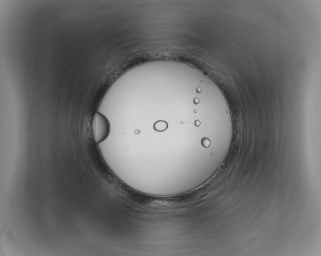 X0000110920699200906181216
