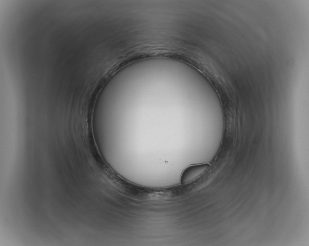 X0000110920700200906181216