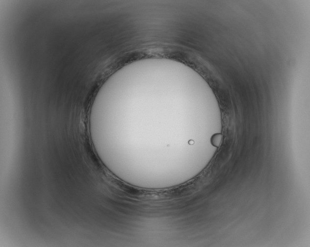 X0000110920702200906181216