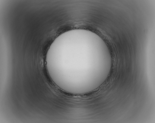 X0000110920703200906181216