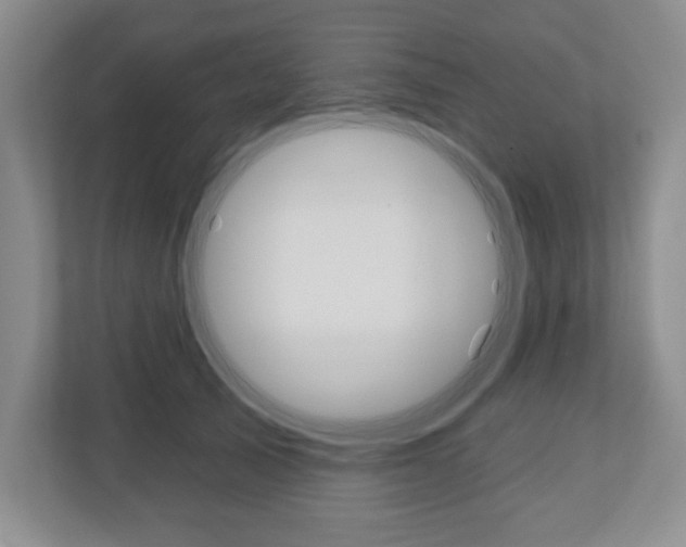 X0000110920705200906181216