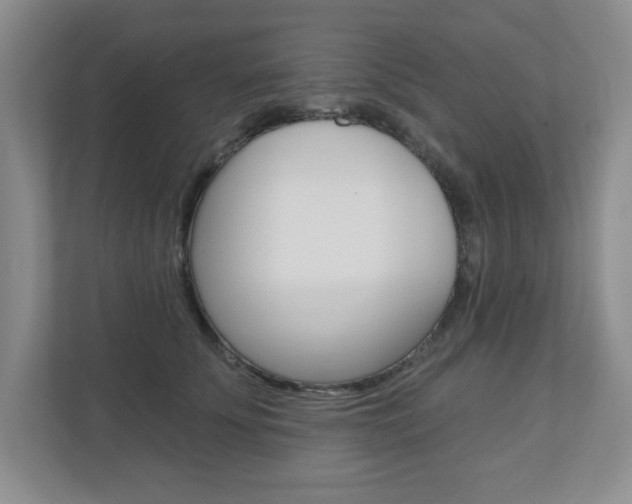 X0000110920707200906181216