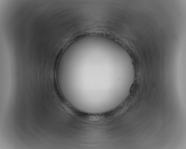 X0000110920708200906181216