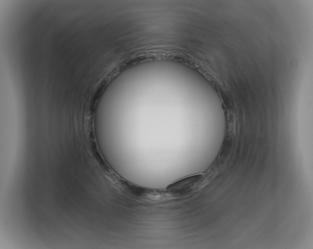 X0000110920712200906181216