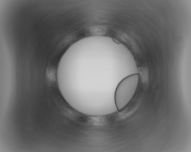 X0000110920713200906181216