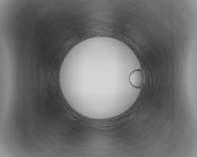 X0000110920716200906181216