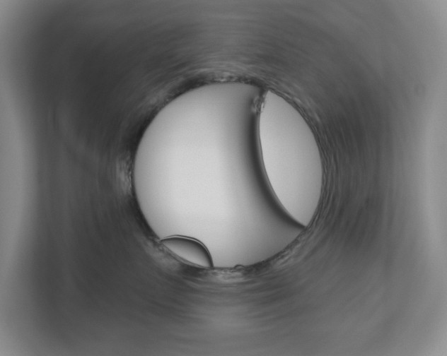 X0000110920719200906181216