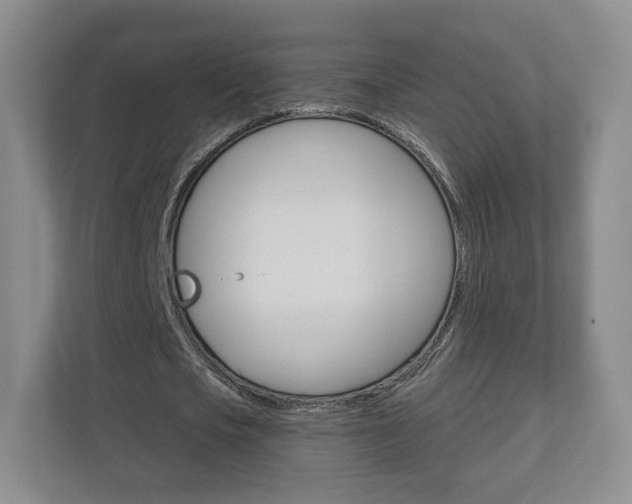 X0000110920721200906181215