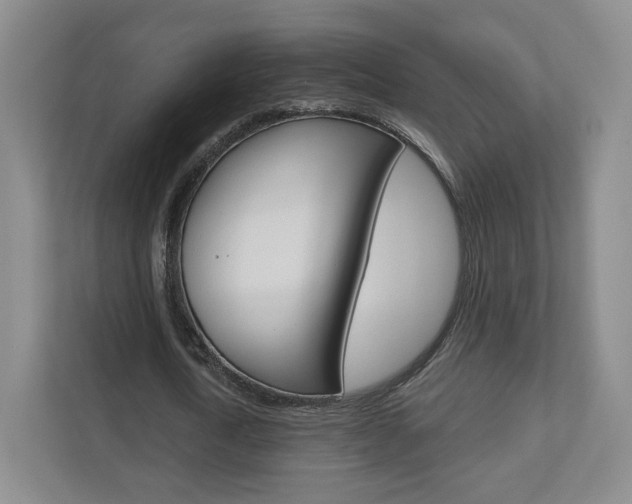 X0000110920722200906181215