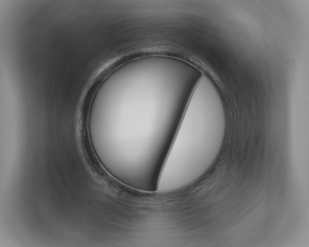 X0000110920724200906181215