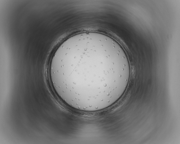 X0000110920725200906181215
