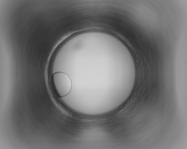 X0000110920726200906181215