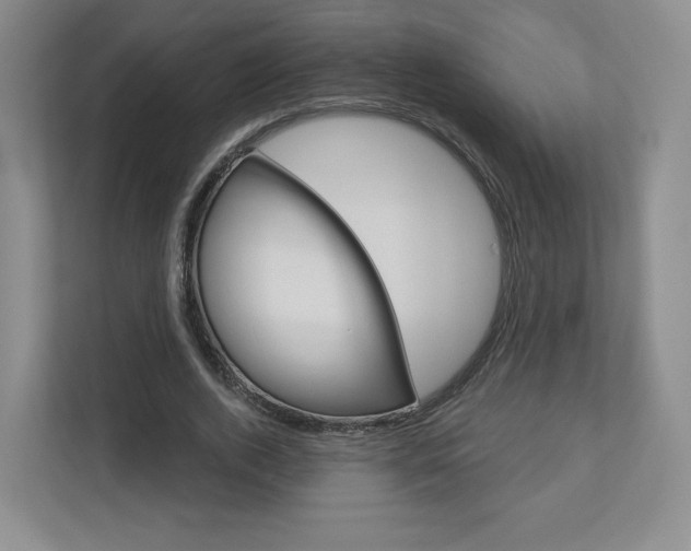 X0000110920728200906181215