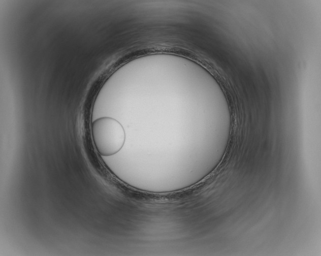 X0000110920734200906181215