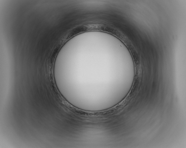 X0000110920737200906181215
