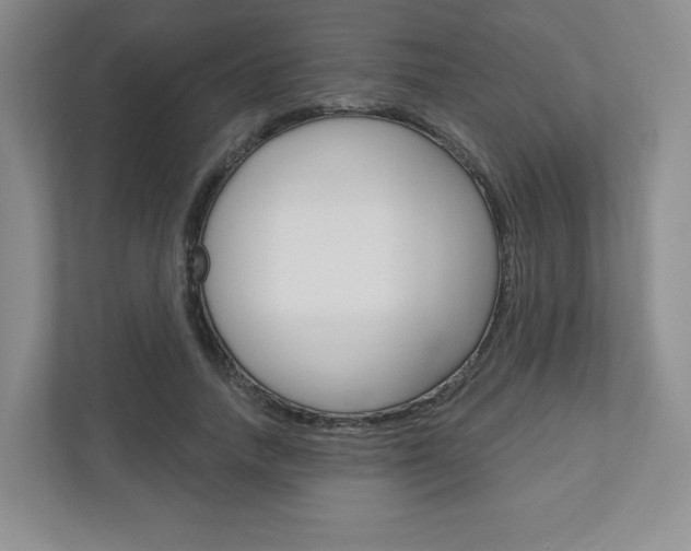 X0000110920738200906181215