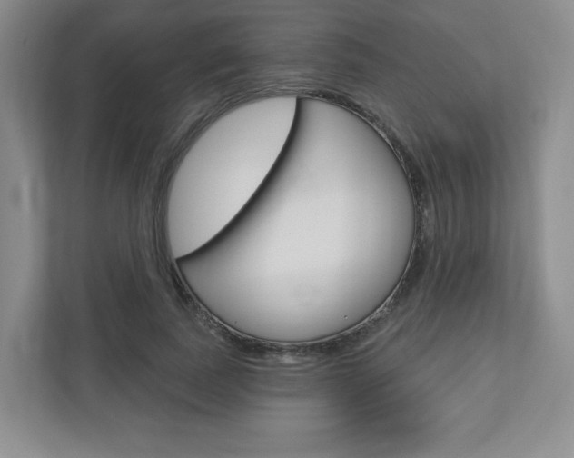X0000110920739200906181215