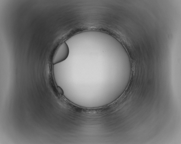 X0000110920740200906181215