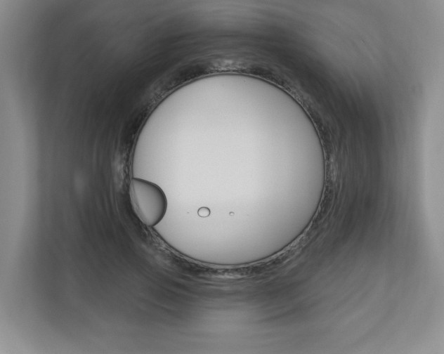 X0000110920741200906181215