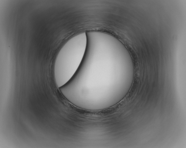 X0000110920743200906181215