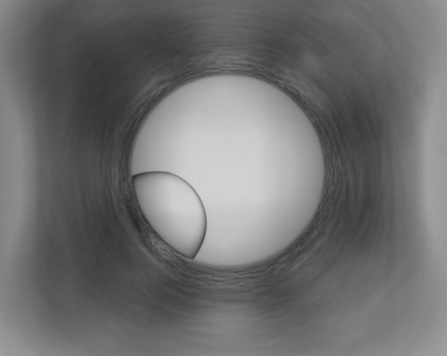X0000110920744200906181215