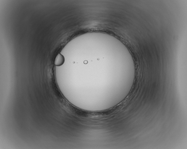 X0000110920746200906181215