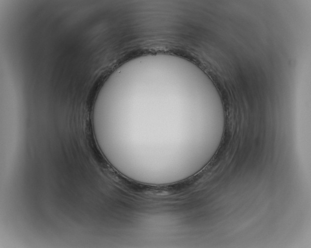 X0000110920747200906181215