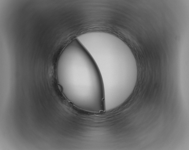 X0000110920748200906181215