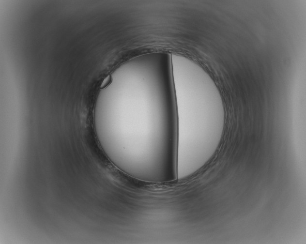 X0000110920750200906181215