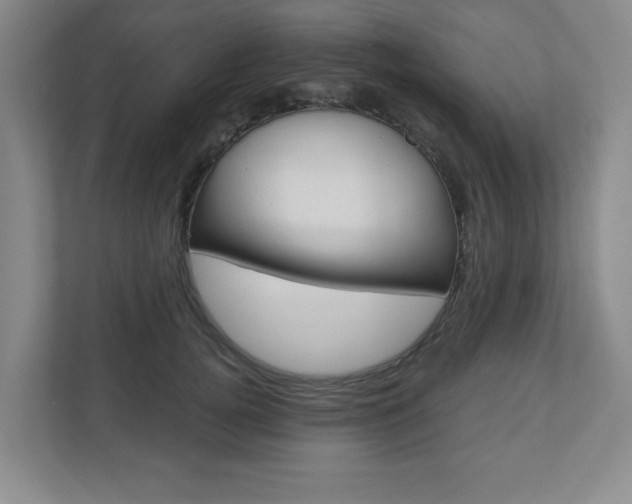 X0000110920752200906181216