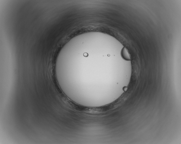 X0000110920758200906181216