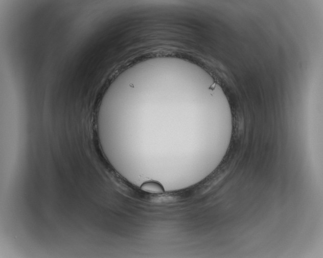 X0000110920759200906181216