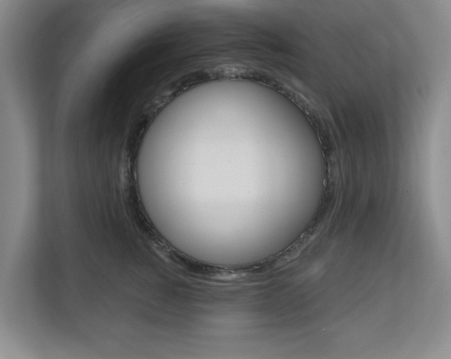 X0000110920760200906181216