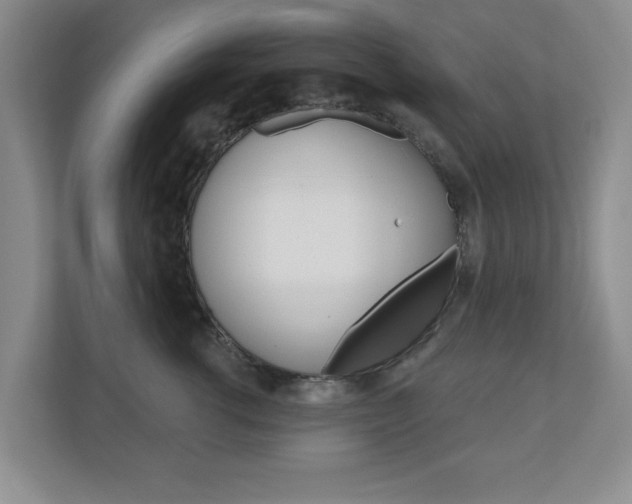 X0000110920762200906181216