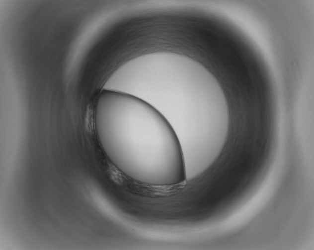 X0000110920766200906181216